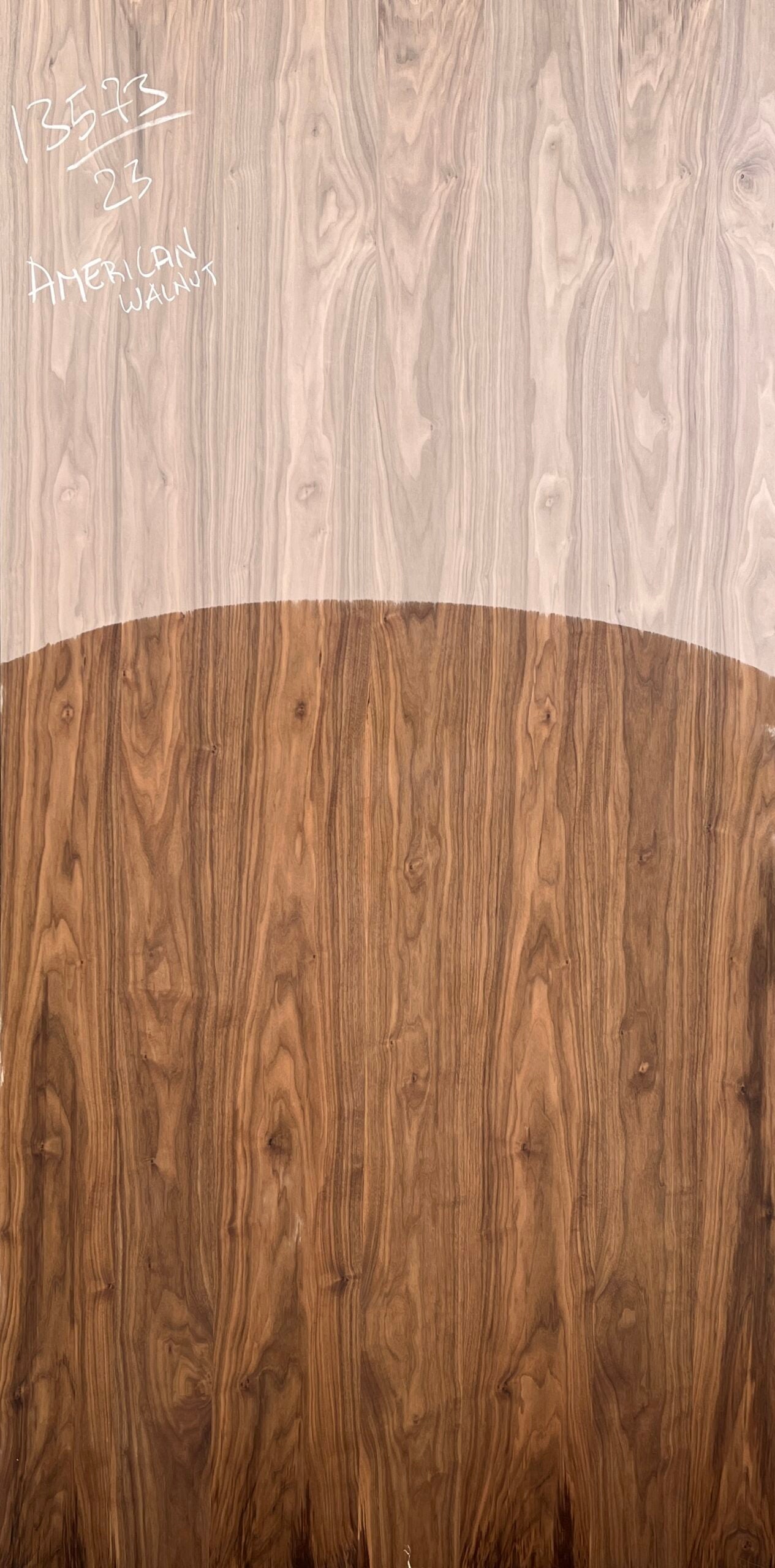 American Walnut Crown 13573